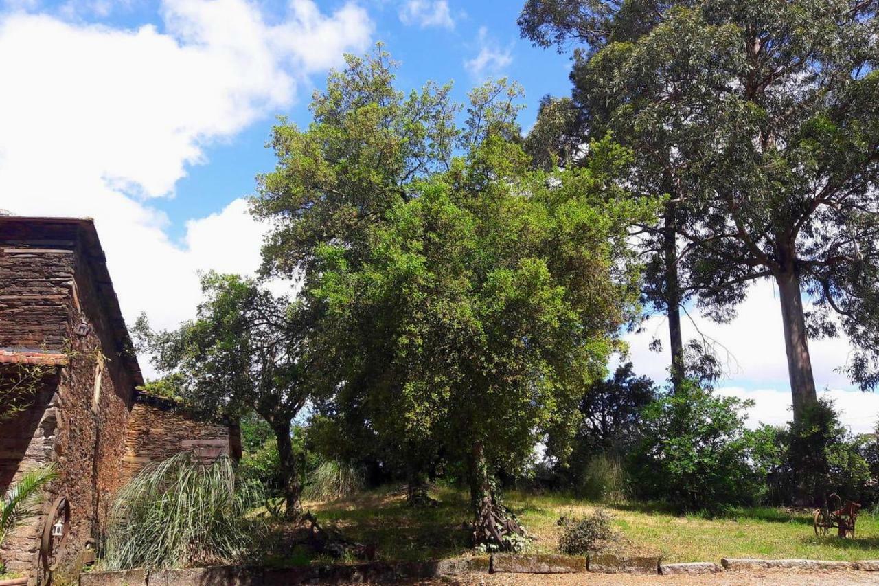 Porto Natura House Valongo  Esterno foto